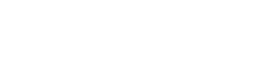 Alpha Informatics